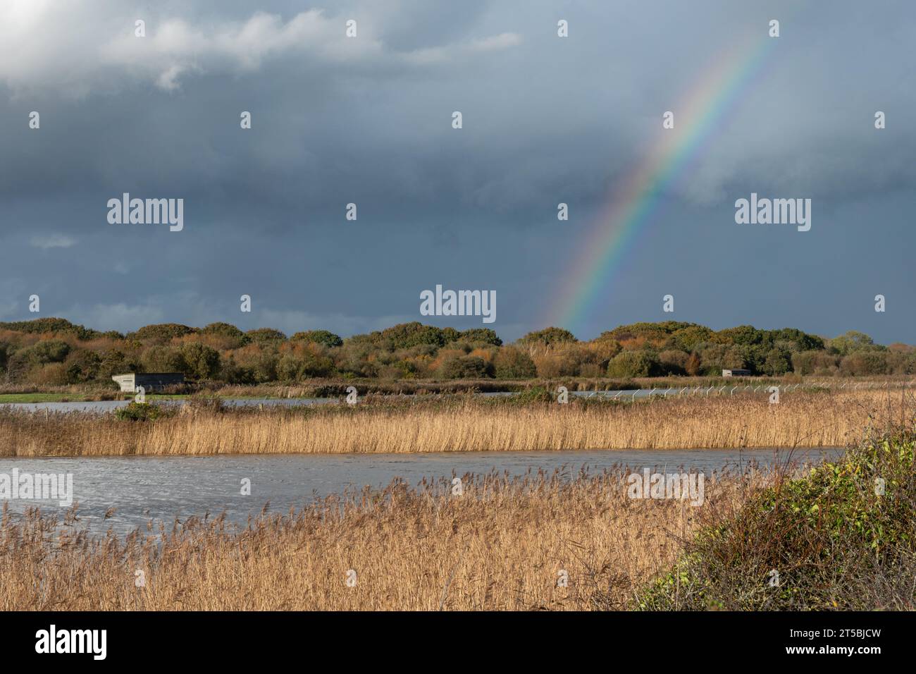 Vue des lits de roseau de la réserve naturelle de Titchfield Haven en novembre avec un arc-en-ciel, Hampshire, Angleterre, Royaume-Uni Banque D'Images