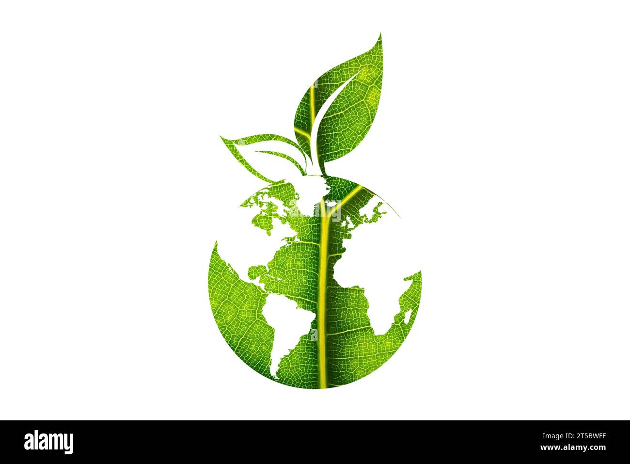 Concept de planète de terre verte, icône, écologie du monde, nature globale protéger, logo environnement écologique, globe avec des feuilles, ligne mince symbole simple web sur blanc. Banque D'Images