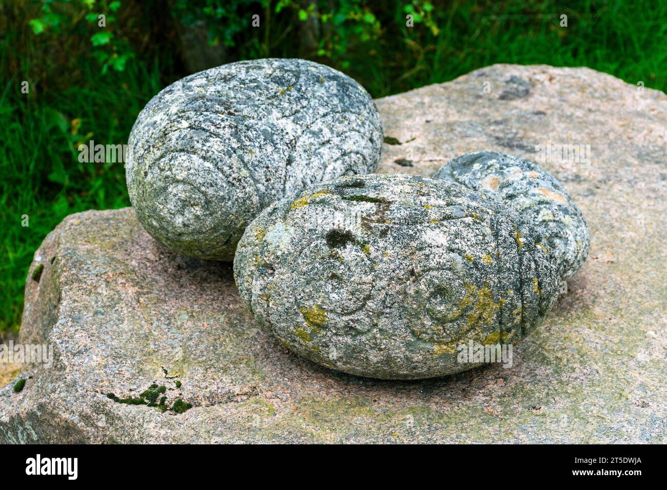 Roches sculptées à motifs (Pict-Eggs) par Janet McEwan à Tarland, Aberdeenshire, Écosse, Royaume-Uni Banque D'Images