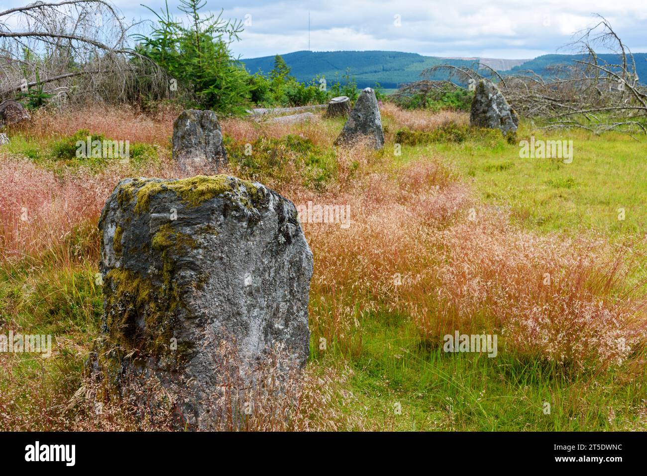 Le cercle de pierre Nine Stanes, près de Banchory, Aberdeenshire, Écosse, Royaume-Uni Banque D'Images