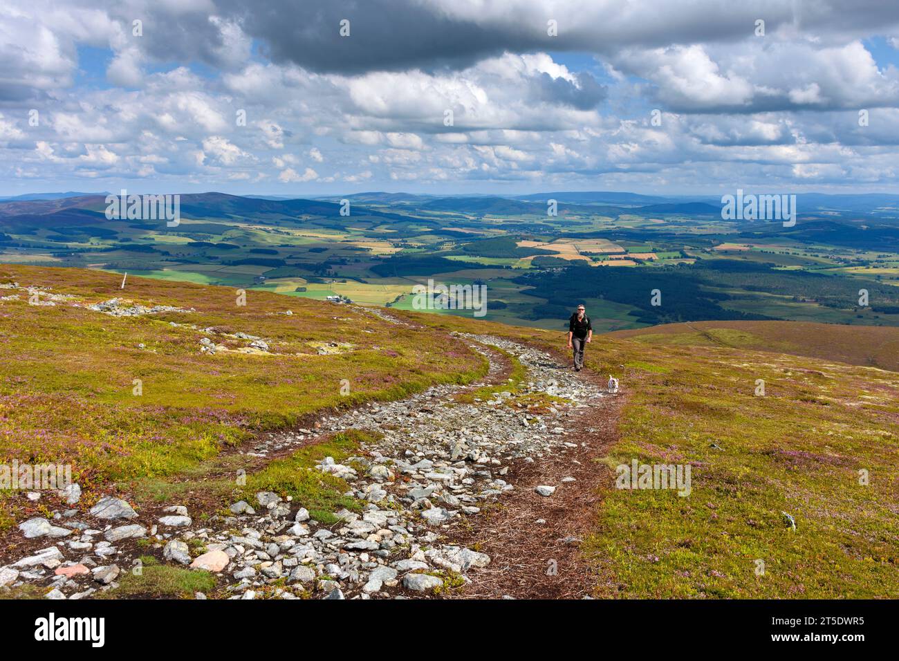 Un marcheur s'approchant du sommet du Morven, Aberdeenshire, Écosse, Royaume-Uni Banque D'Images