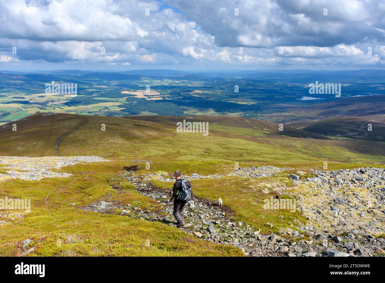 Un marcheur descendant le chemin sous le sommet du Morven, Aberdeenshire, Écosse, Royaume-Uni Banque D'Images