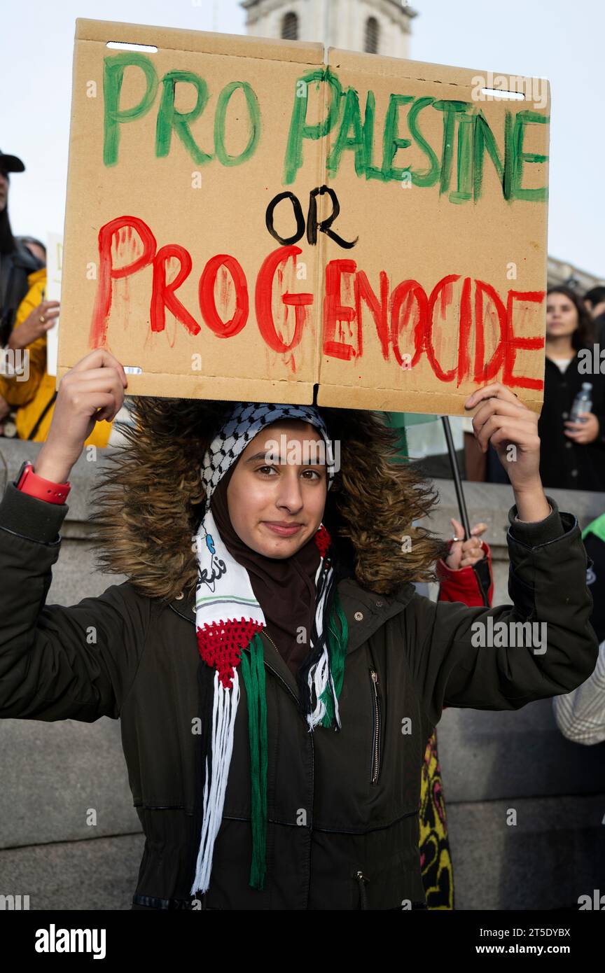 Rassemblement pro-palestinien pour réclamer un cessez-le-feu à Gaza. 4 novembre 2023 Banque D'Images