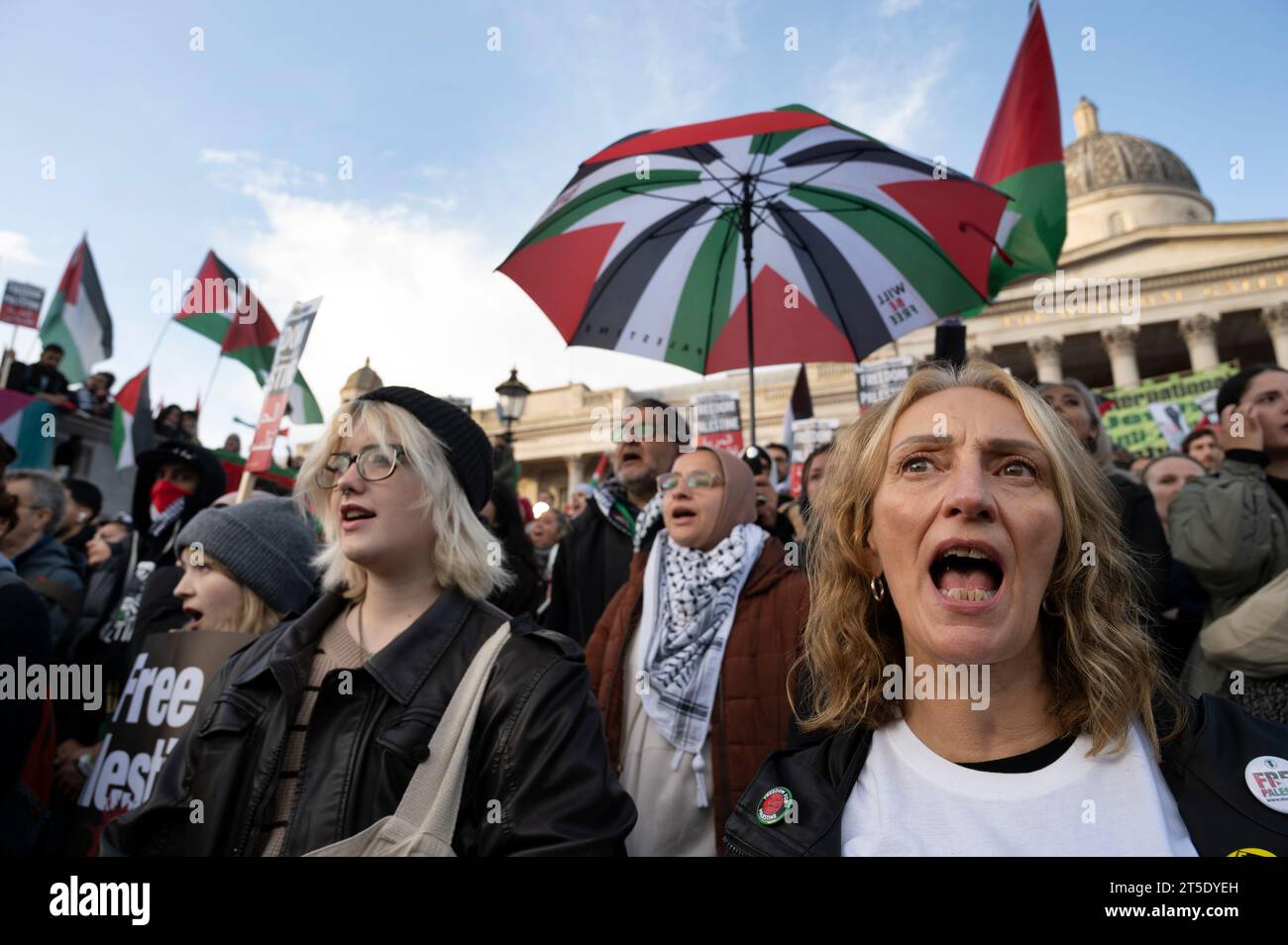 Rassemblement pro-palestinien pour réclamer un cessez-le-feu à Gaza. 4 novembre 2023 Banque D'Images
