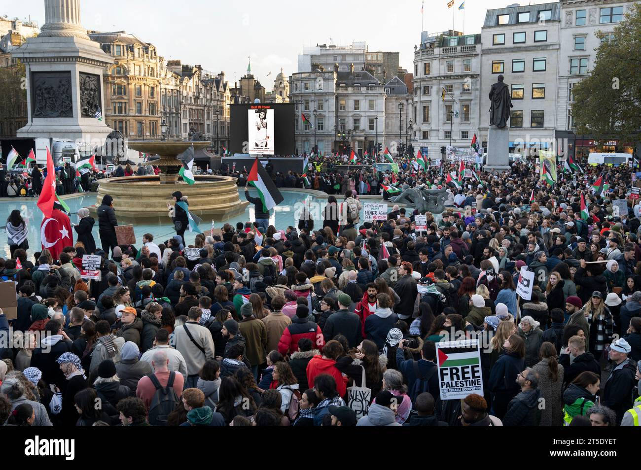 Rassemblement pro-palestinien pour réclamer un cessez-le-feu à Gaza. 4 novembre 2023 Banque D'Images