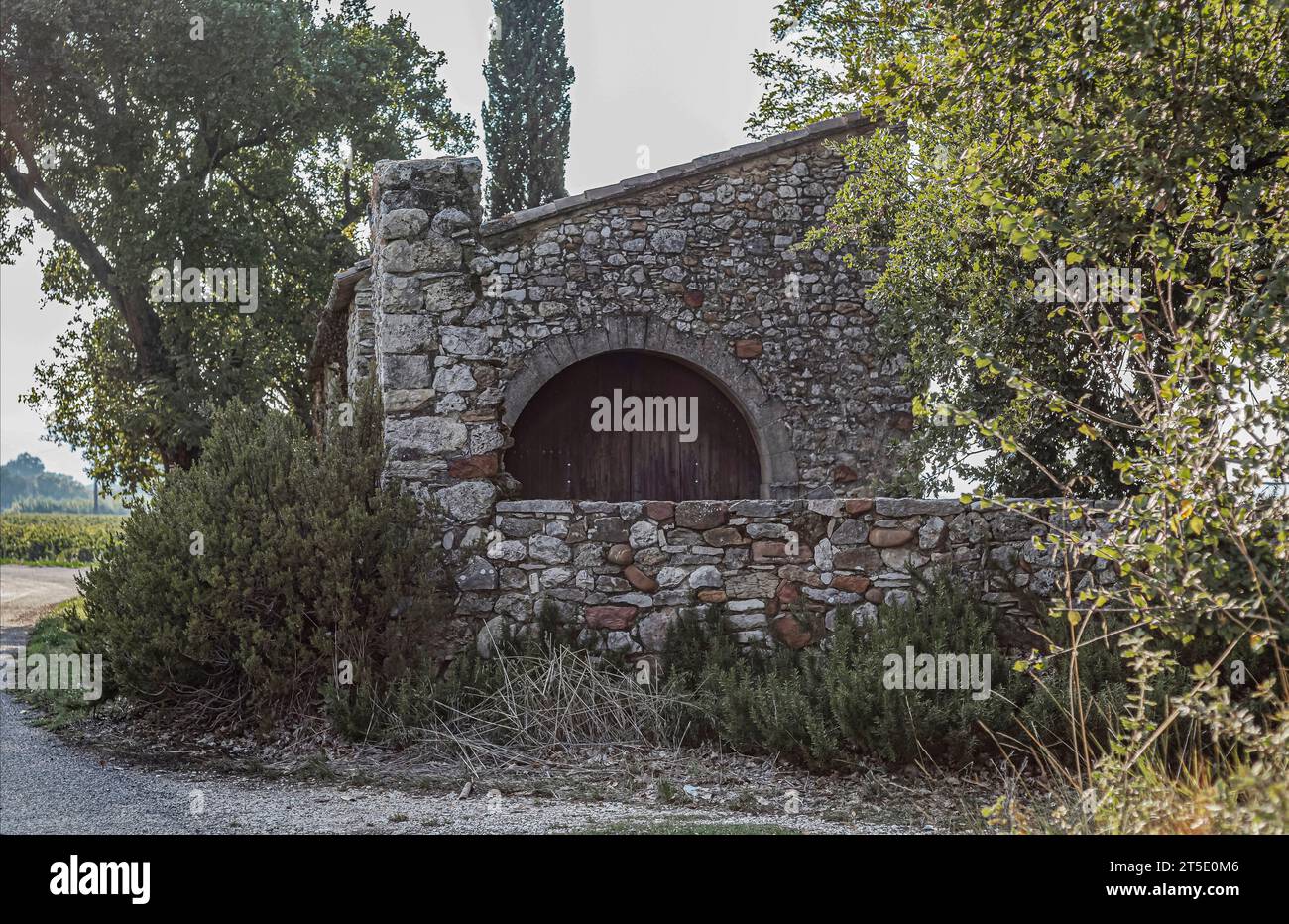 Ancienne grange en pierre parmi les vignobles sur une route arrière Banque D'Images