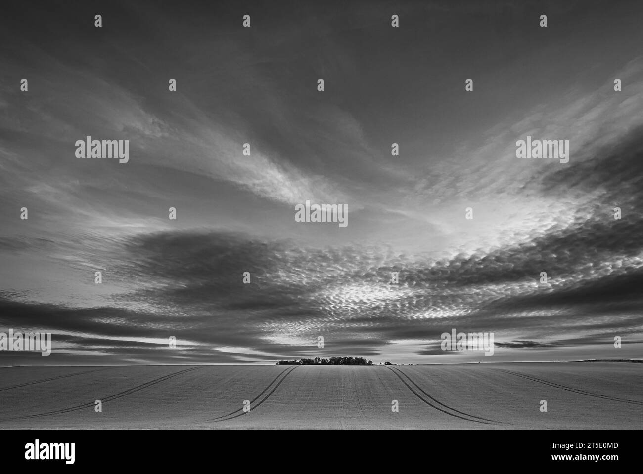 Image en noir et blanc d'Un coucher de soleil sur Un champ agricole bordé de tracteurs près de Linlithgow, West Lothian, Écosse, Royaume-Uni Banque D'Images