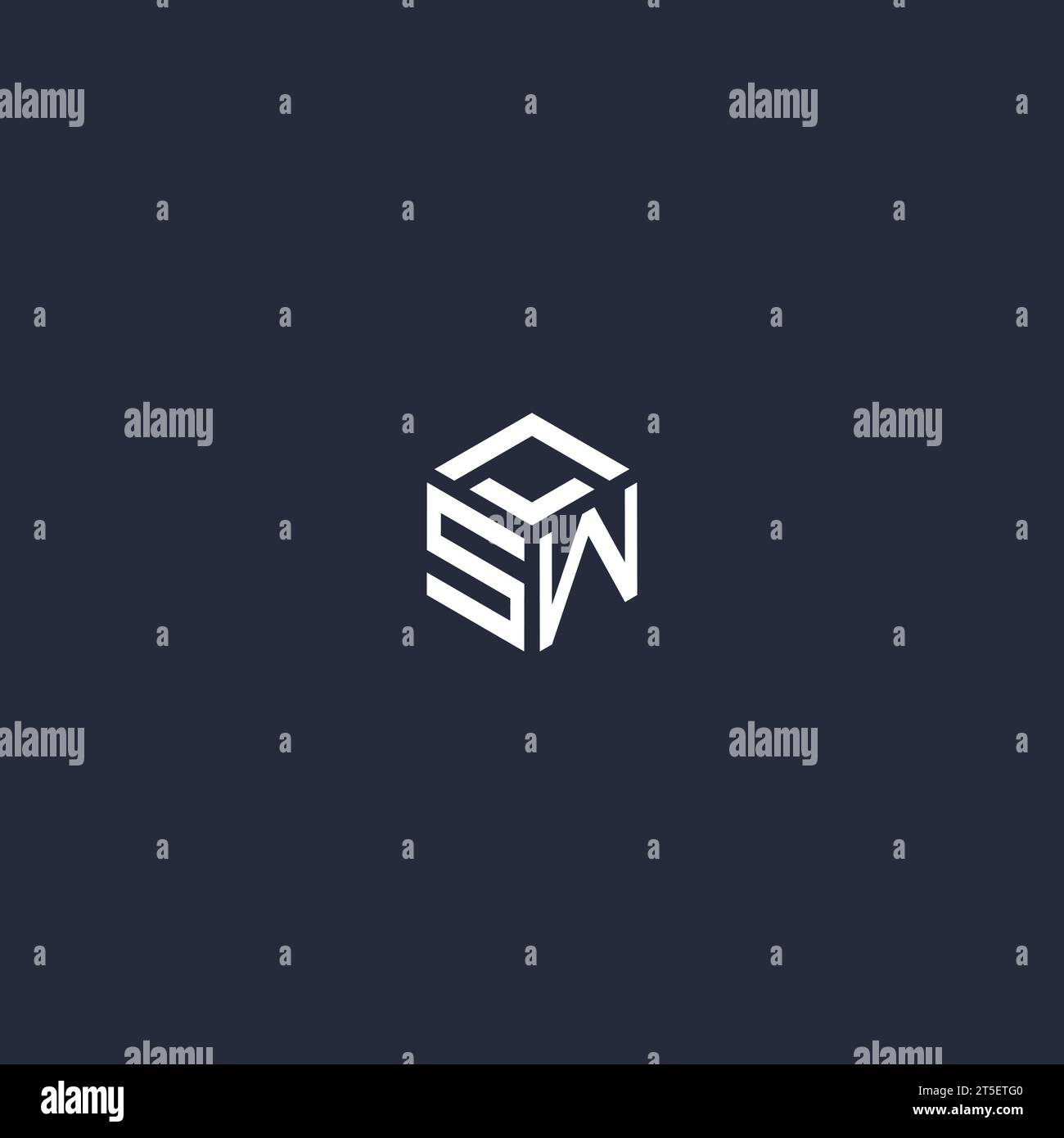 Logo hexagonal SW initial inspiré Illustration de Vecteur