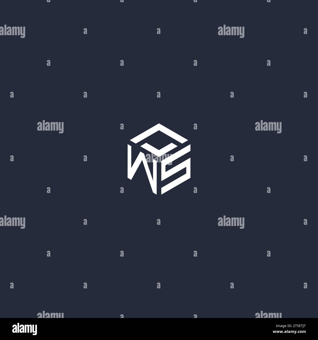 Inspiration initiale du logo hexagonal WS Illustration de Vecteur