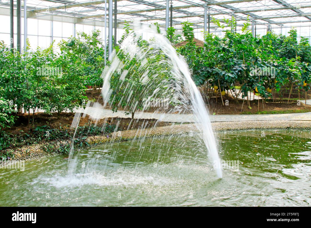 jet d'eau dans un jardin touristique agricole moderne Banque D'Images