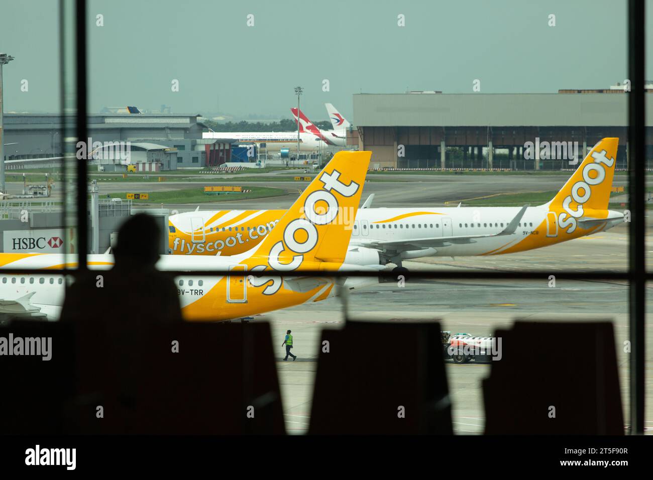 Une personne voit à travers le mur-rideau pour vérifier Airbus A320 de Scoot Airline tout en faisant son travail logistique, Singapore Changi Airport. Banque D'Images