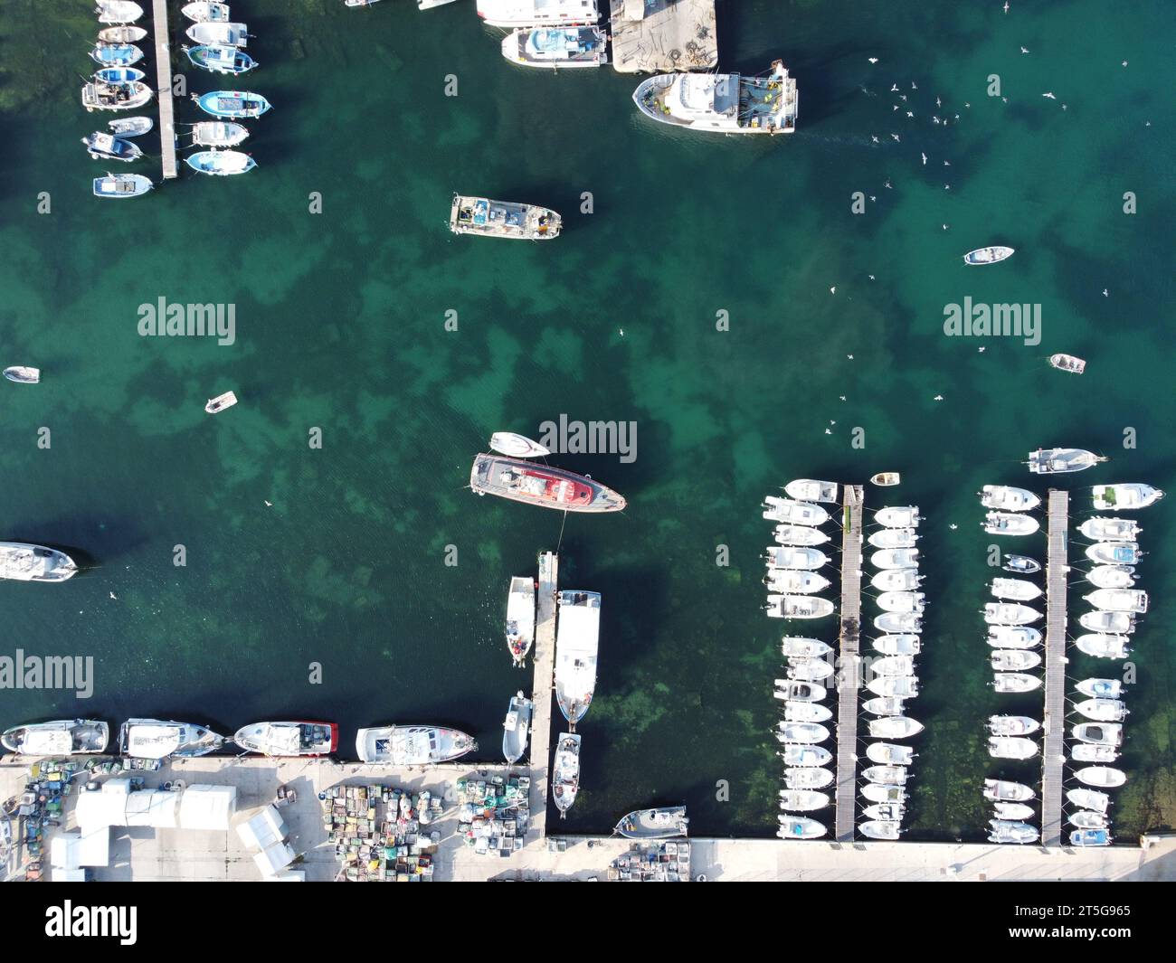 Vue aérienne de haut en bas des bateaux de pêche, des yachts et des motifs d'algues avec des mouettes tournant à l'intérieur d'une marina dans le port de Carro sur la Côte d'Azur Banque D'Images