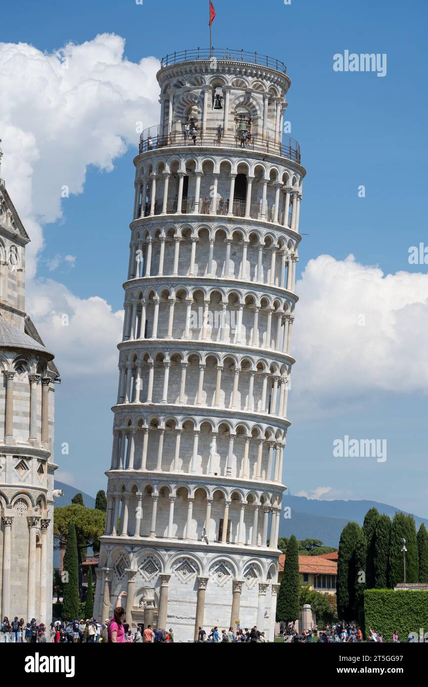 Tour penchée de Pise (le campanile, ou clocher autoportant, de la cathédrale de Pise) sur la Piazza del Duomo, lumière du soleil d'été Banque D'Images