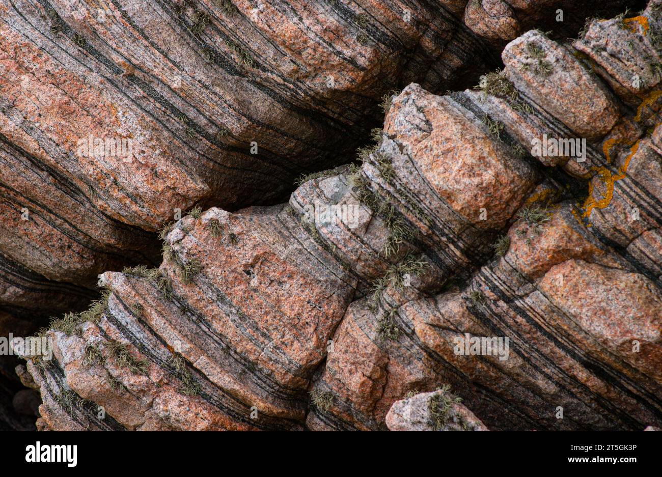 Roche métamorphique gneiss grise et rose Banque D'Images