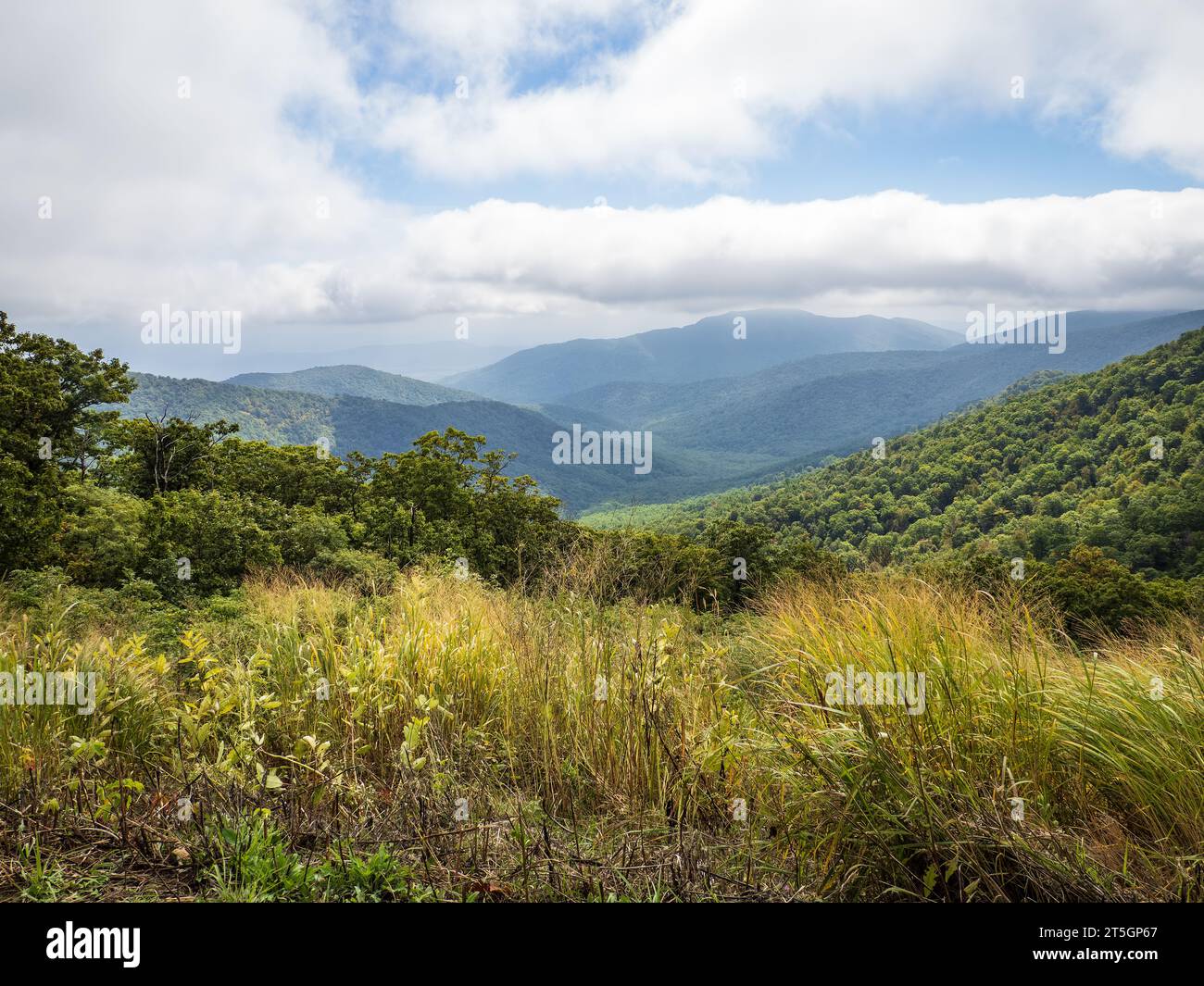 Une journée nuageuse dans la vallée de Shenandoah, Virginie Banque D'Images