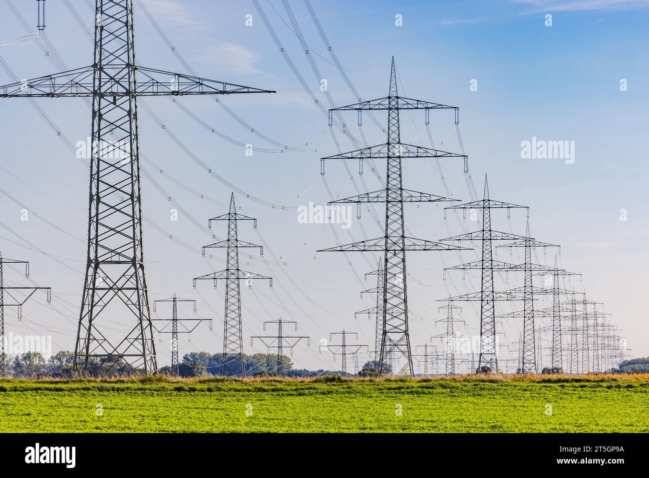 Le pylône aérien avec suspension pour lignes électriques aériennes dans l'environnement perturbe le paysage en Allemagne Banque D'Images