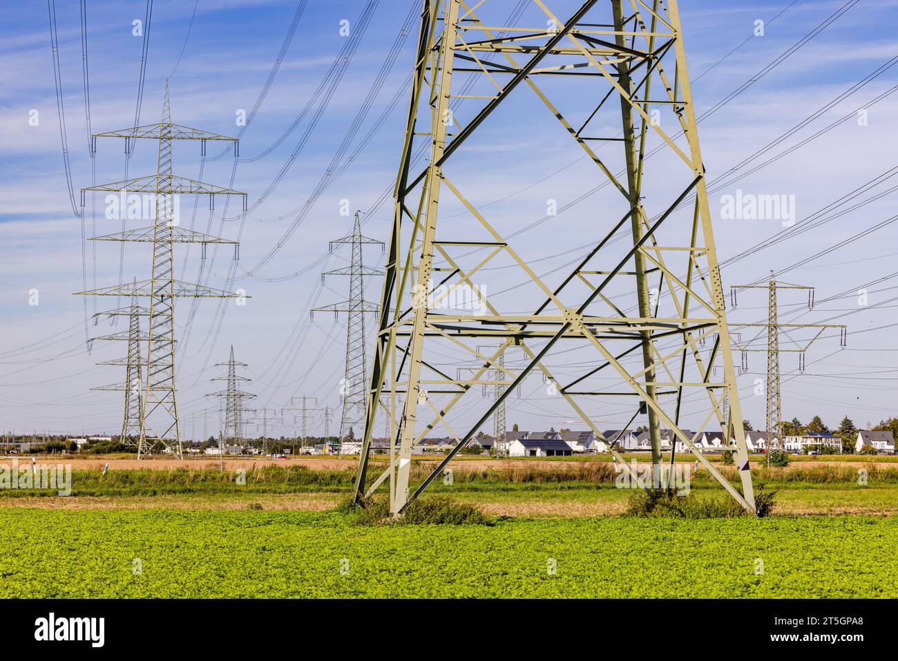 De nombreux pylônes électriques avec des lignes électriques perturbent le paysage près d'une colonie en Allemagne Banque D'Images