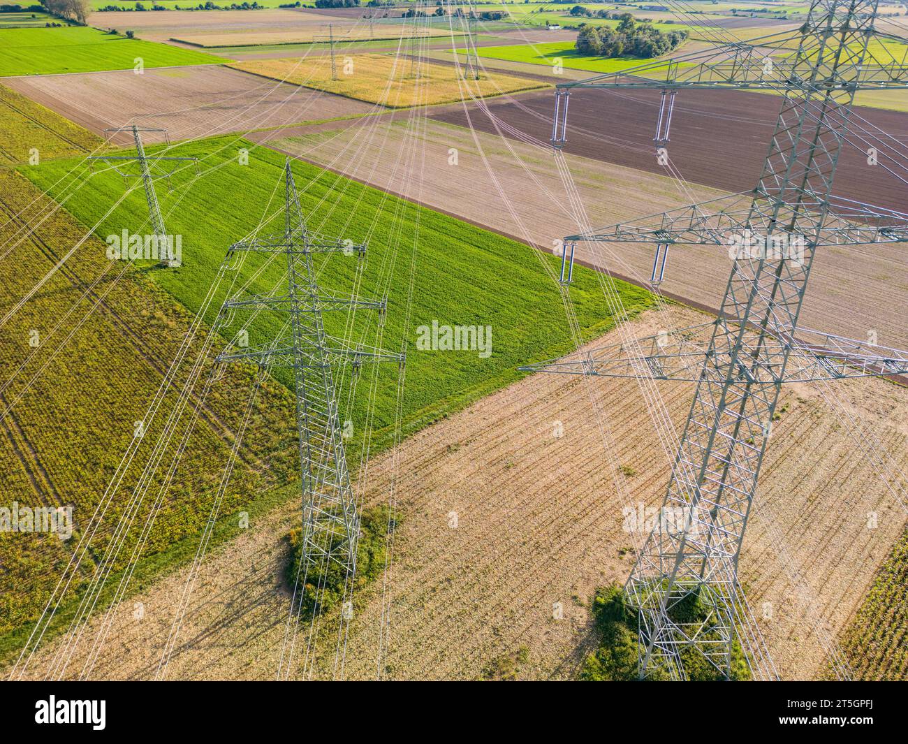 De nombreuses lignes électriques entre les poteaux électriques au-dessus d'un champ agricole comme un plan aérien Banque D'Images
