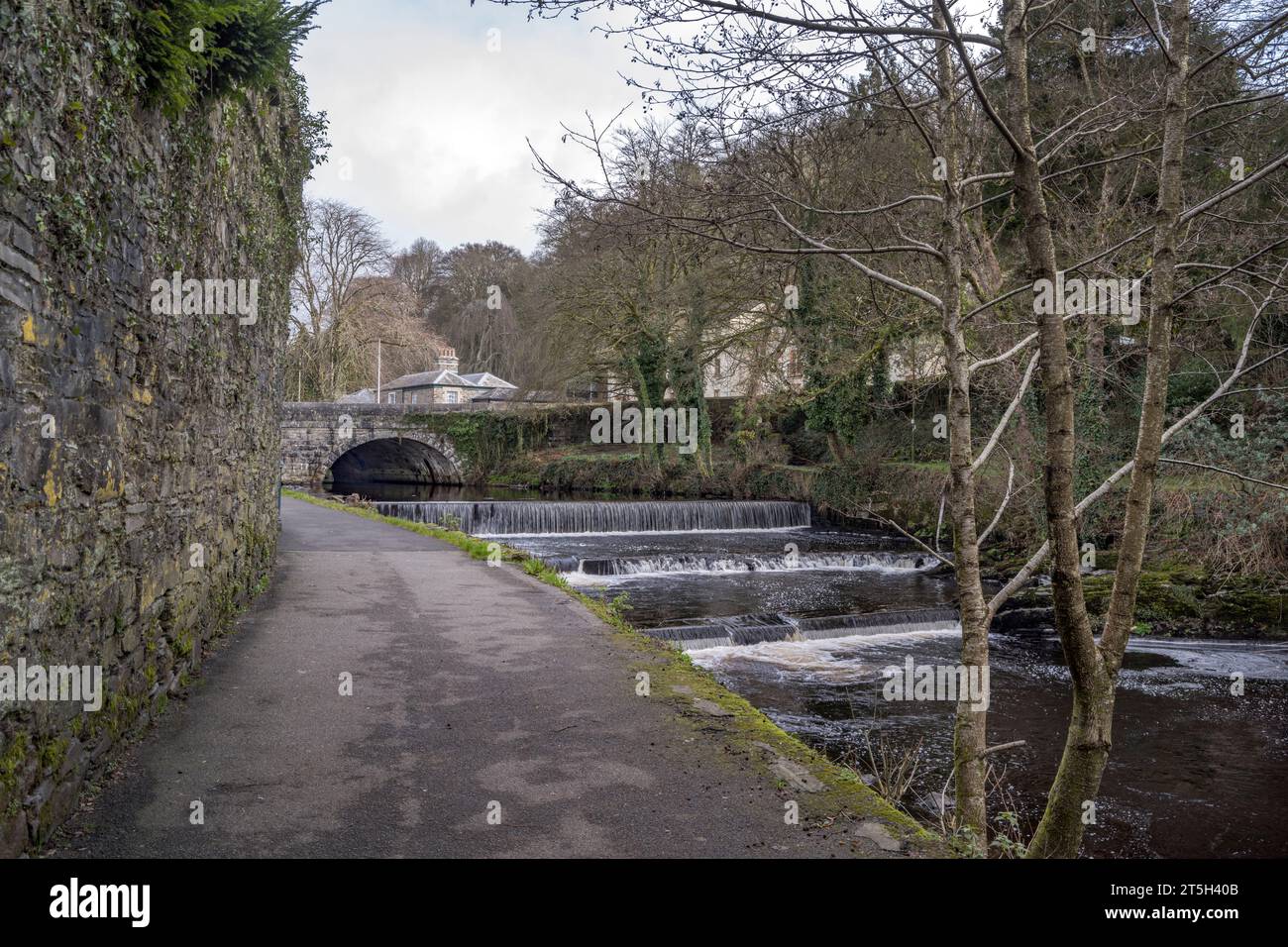 Promenade hivernale de la rivière Tavistock sur le sentier historique Banque D'Images