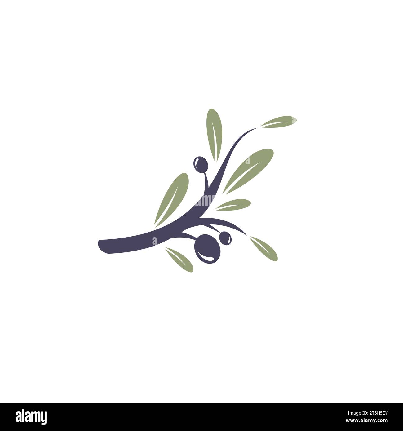 Vecteur de conception de logo d'huile d'olive extra vierge. icône huile d'olive Illustration de Vecteur