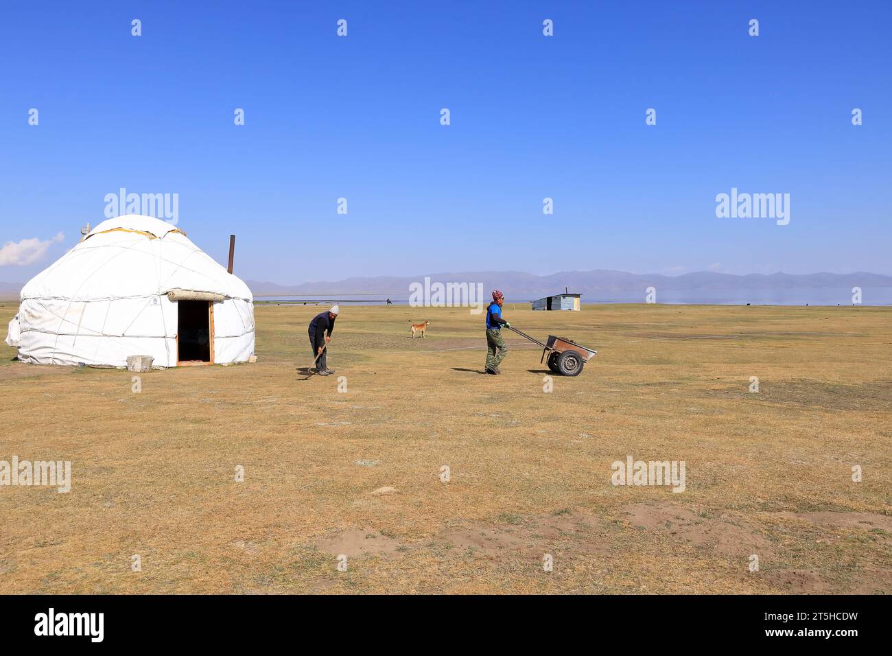 Août 23 2023 - lac Song kol au Kirghizistan : les nomades vivent leur vie ordinaire sur les pâturages d'été Banque D'Images