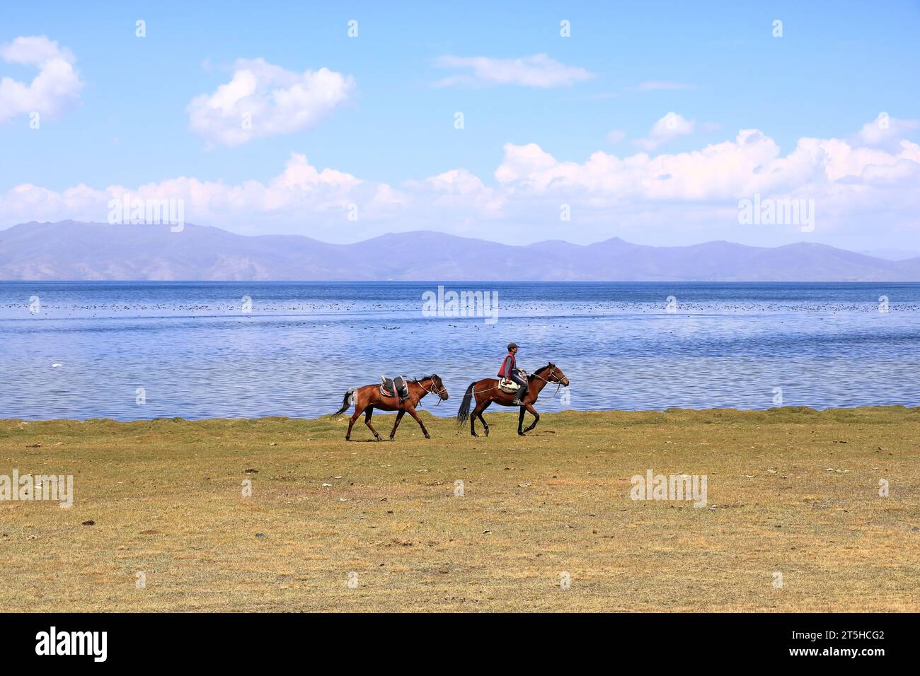 Août 23 2023 - lac Song kol au Kirghizistan : les nomades vivent leur vie ordinaire sur les pâturages d'été Banque D'Images