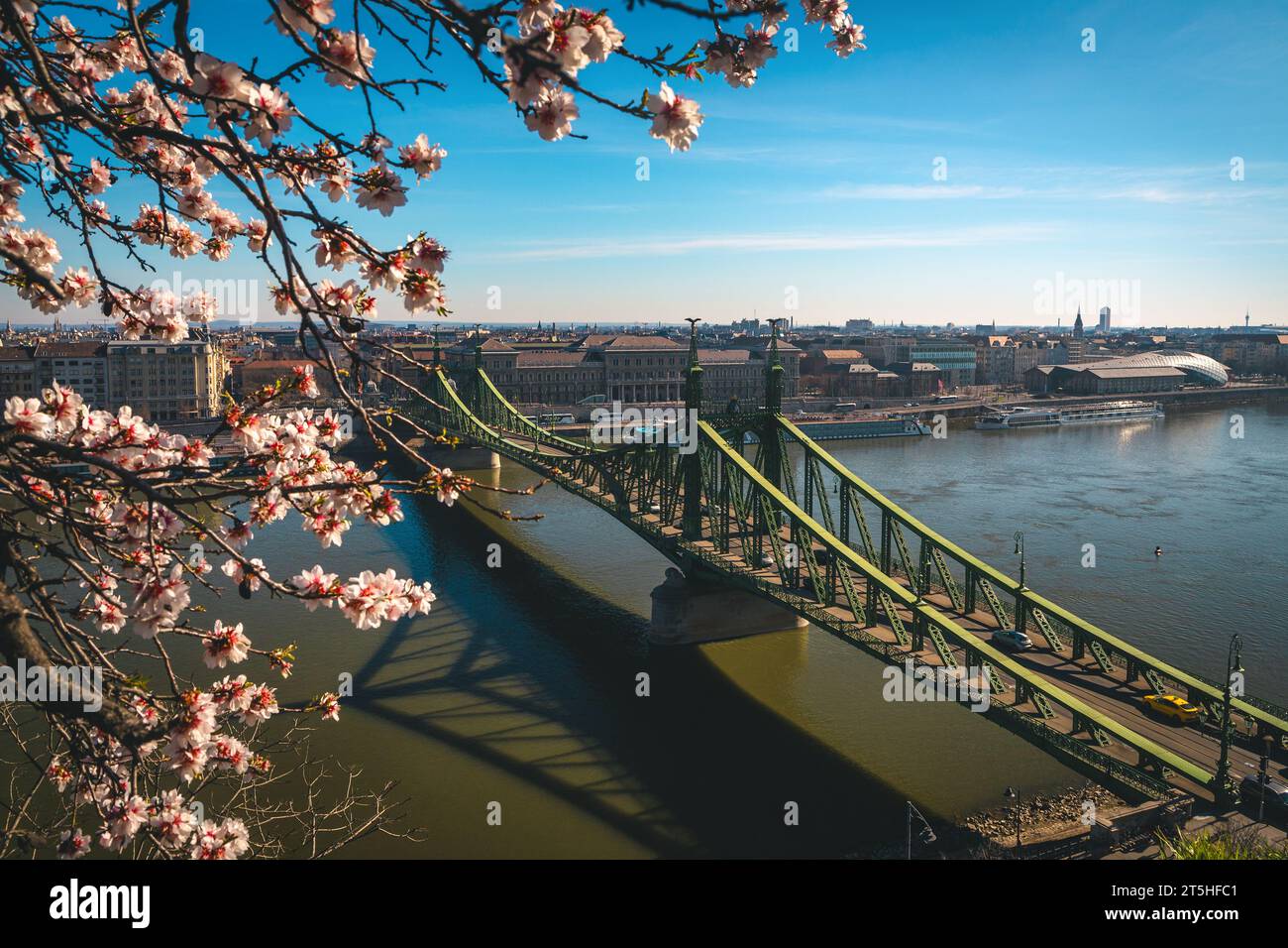 Panorama incroyable avec des branches fleuries de printemps fraîches et célèbre pont de la liberté sur le Danube, Budapest, Hongrie, Europe Banque D'Images