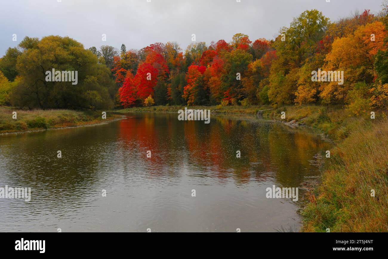 Couleurs d'automne vives sur une journée nuageuse mettant en vedette la rivière Grand à Kitchener, Ontario, Canada. Banque D'Images
