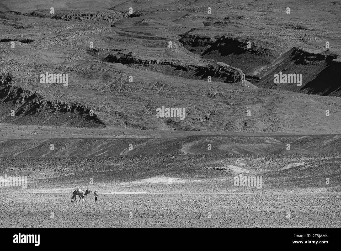 Paysages désertiques au Sahara Banque D'Images