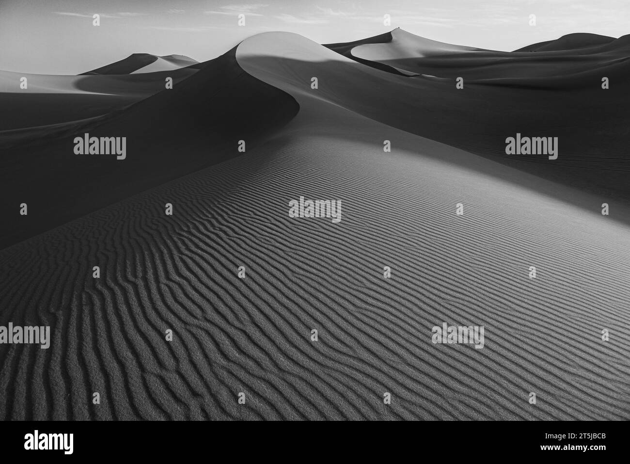 Dunes de sable du Sahara Banque D'Images