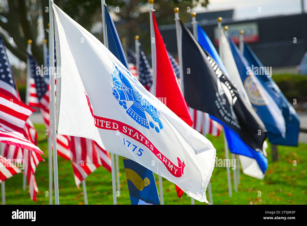 Drapeaux représentant les différentes forces armées américaines volant à Dennis, Massachusetts, sur Cape Cod. Pour la Journée des anciens combattants. Banque D'Images