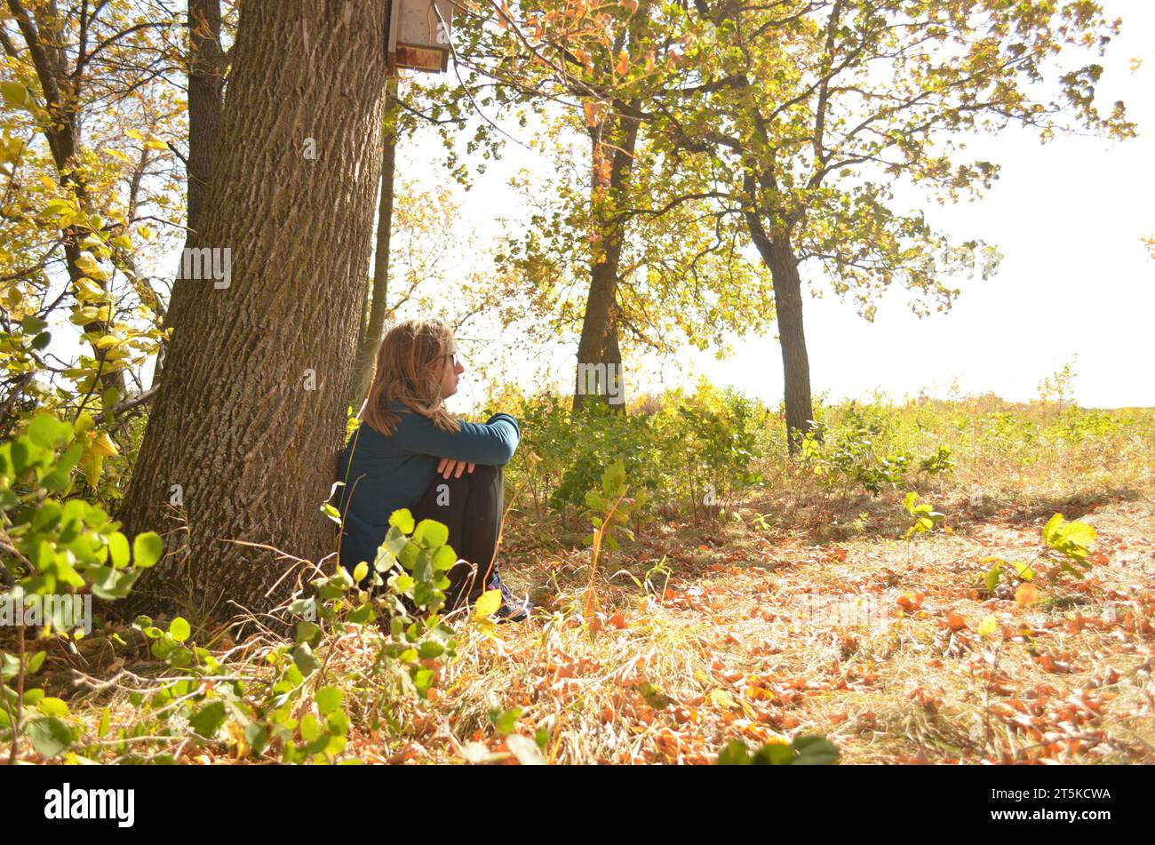 Une fille assise dans la solitude dans une forêt Banque D'Images