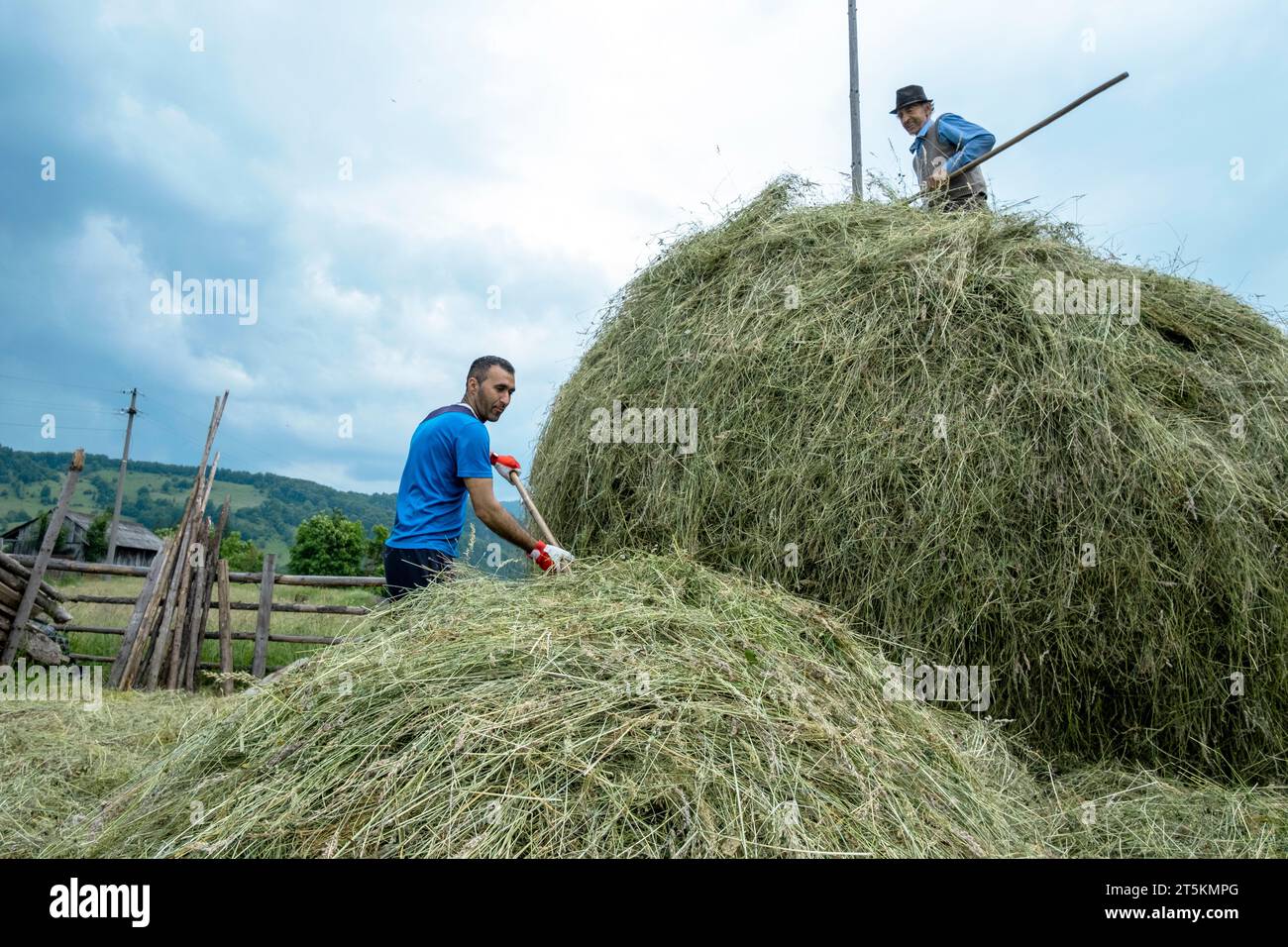 Agriculteurs fabriquant une botte de foin à Rucar, Arges, montagnes des Carpates, Roumanie Banque D'Images
