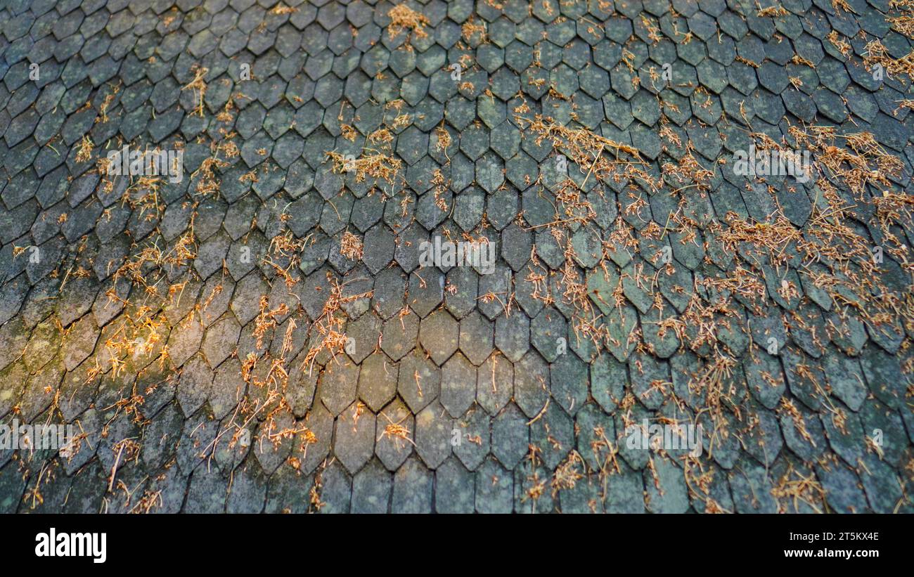 Texture ou motif de toit classique noir Banque D'Images
