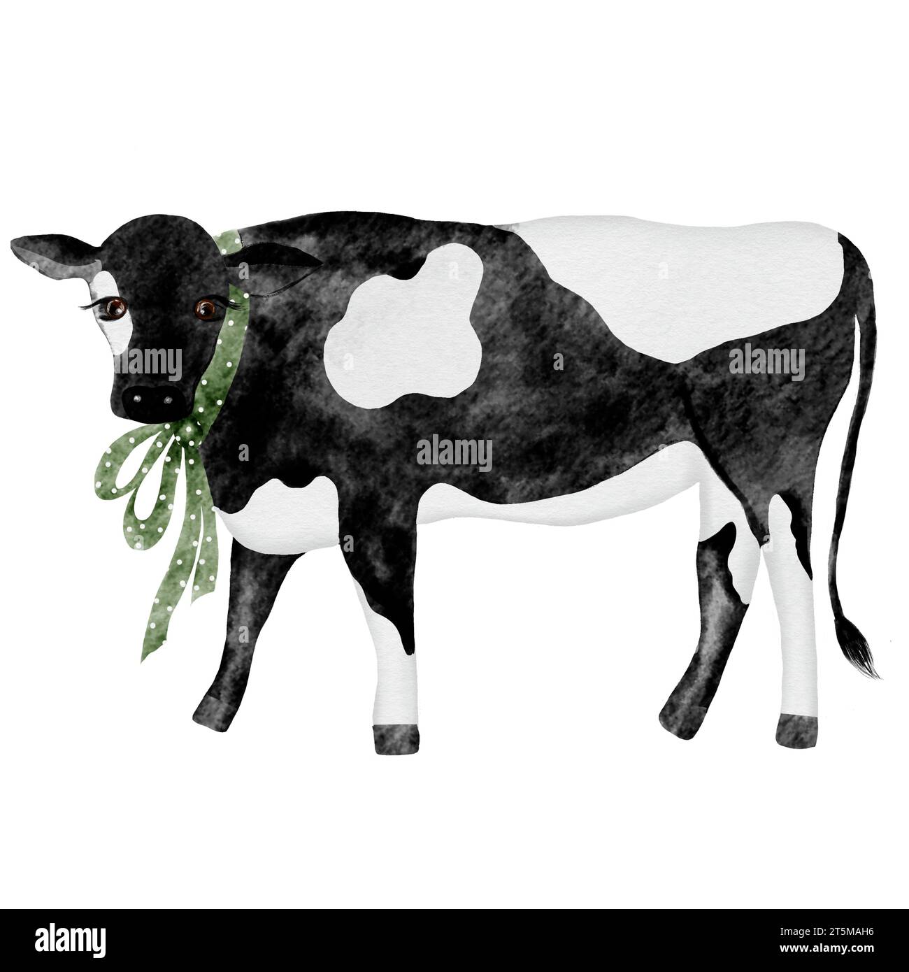 Dessin à l'aquarelle, vache noire et blanche avec un arc vert. Illustration mignonne pour l'impression sur les cartes éducatives des enfants, les textiles et la vaisselle. Pour Banque D'Images