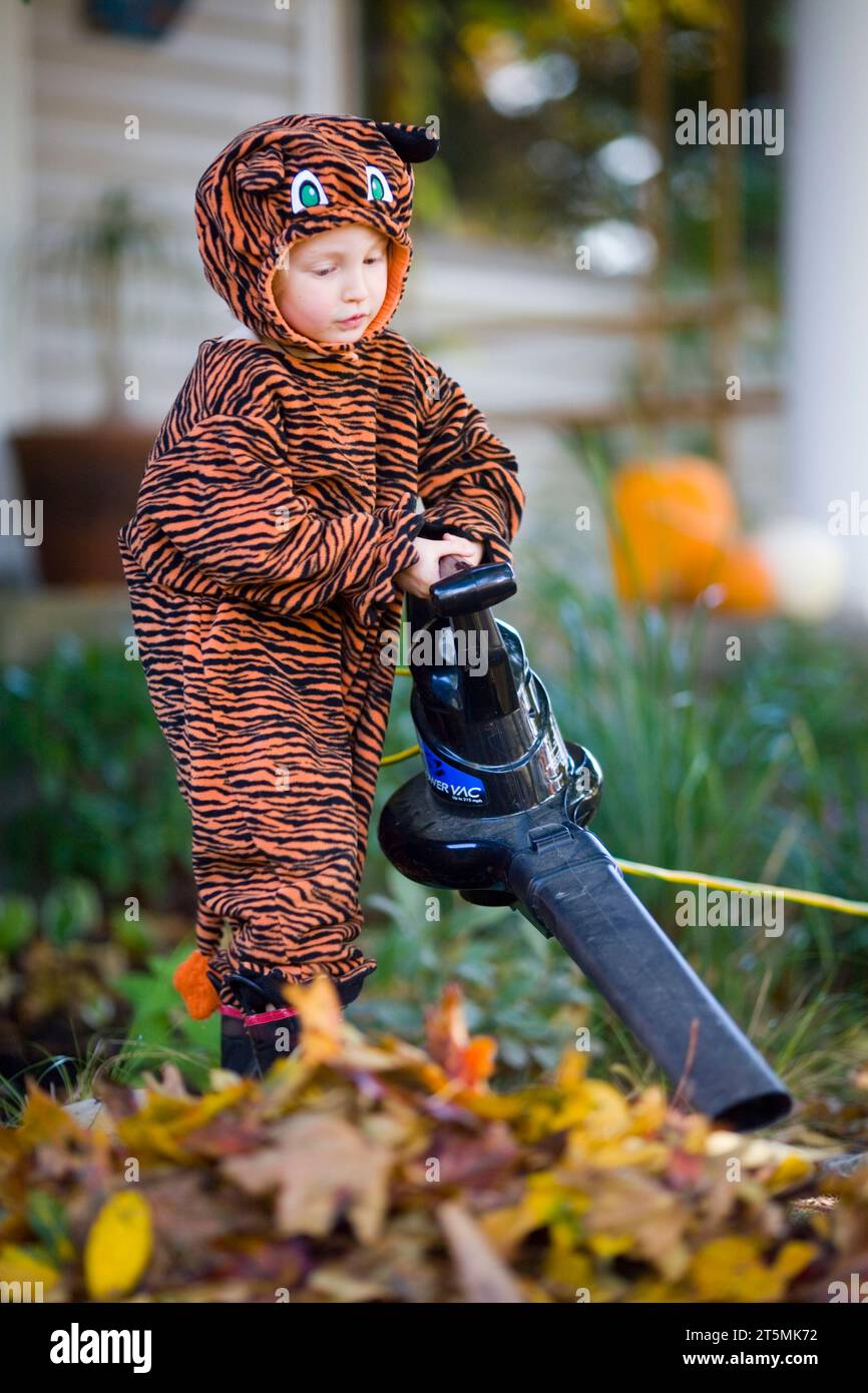 Un jeune garçon utilise le souffle de feuilles tout en portant un costume de tigre à Portland, Oregon. Banque D'Images