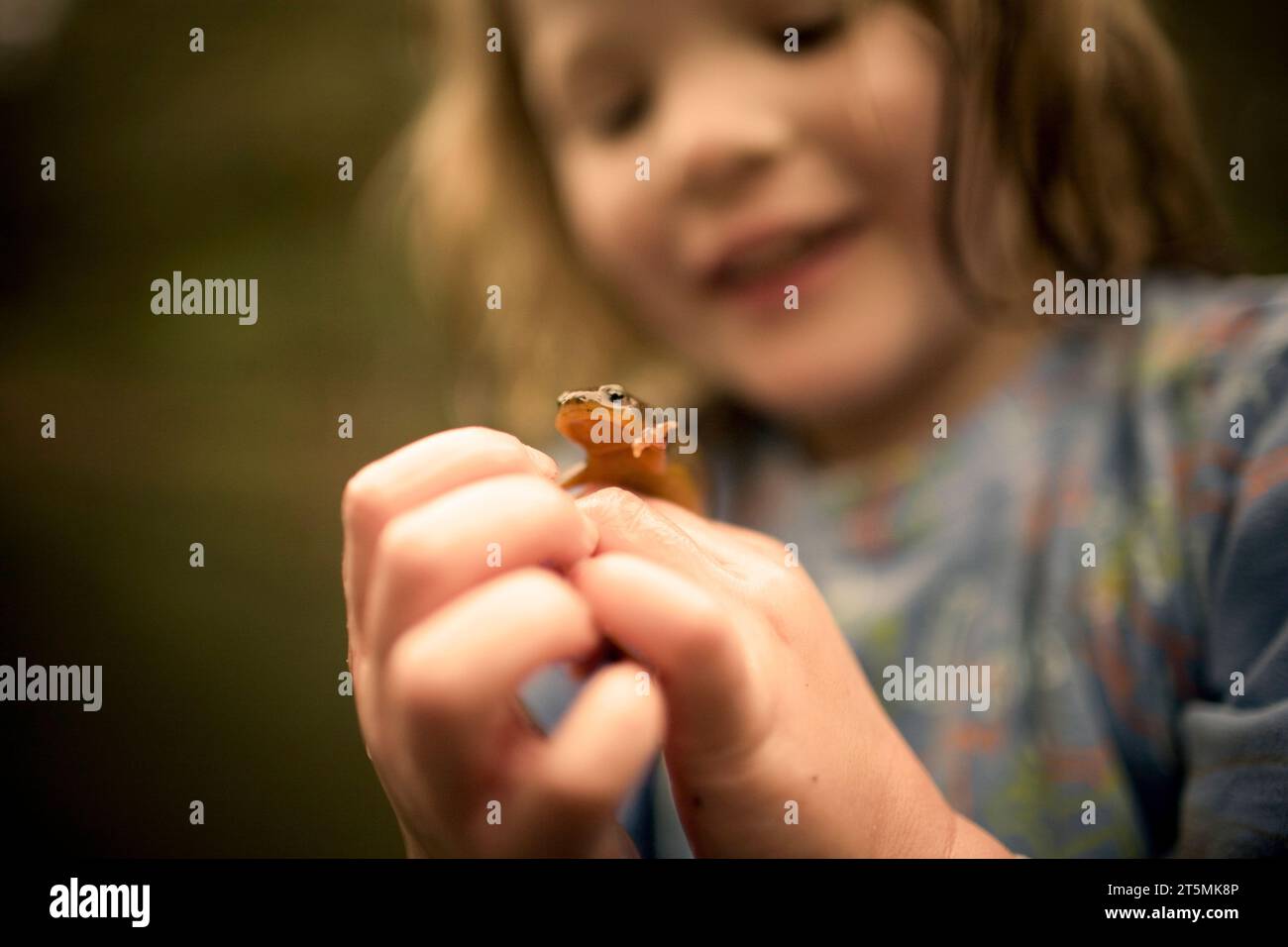 Une fille tient une salamandre. Banque D'Images