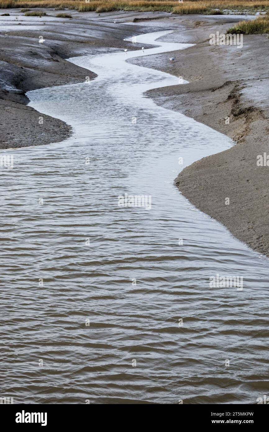 Un canal à marée à Langwarder Groden, qui fait partie du parc national de la mer des Wadden de Basse-Saxe Banque D'Images