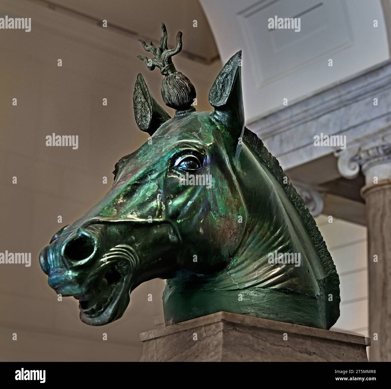 Tête de cheval d'une statue équestre en Bronze (l'un des chevaux qui