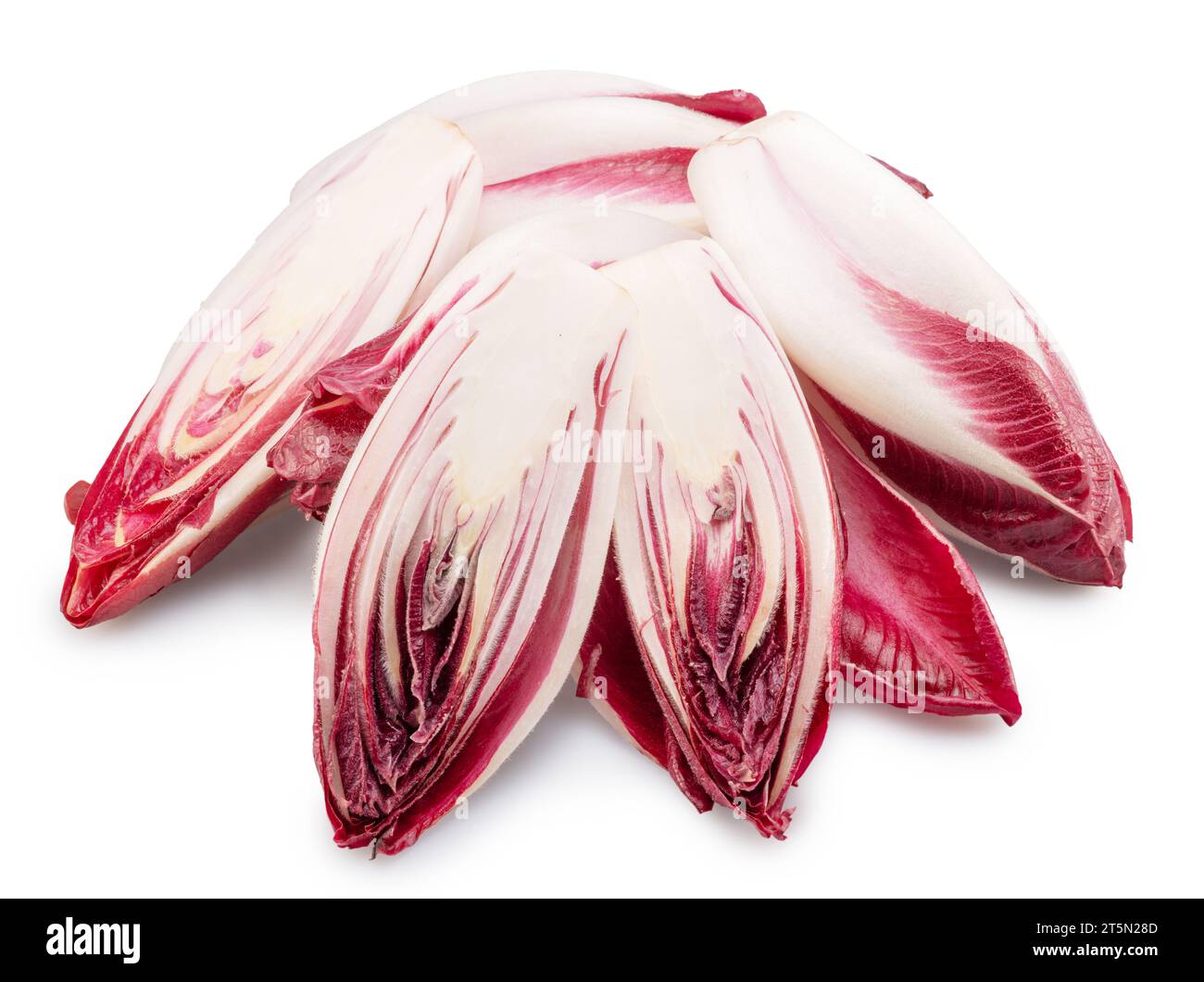 Endives rouges et coupe transversale d'endives sur fond blanc. Le fichier contient un chemin de détourage. Banque D'Images