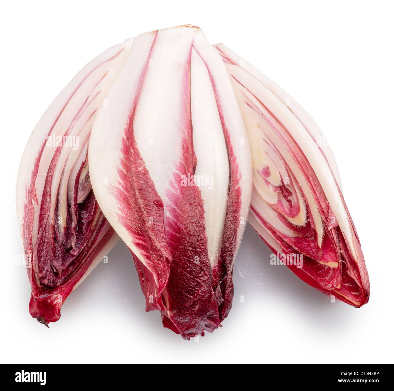 Endives rouges et coupe transversale d'endives sur fond blanc. Le fichier contient un chemin de détourage. Banque D'Images