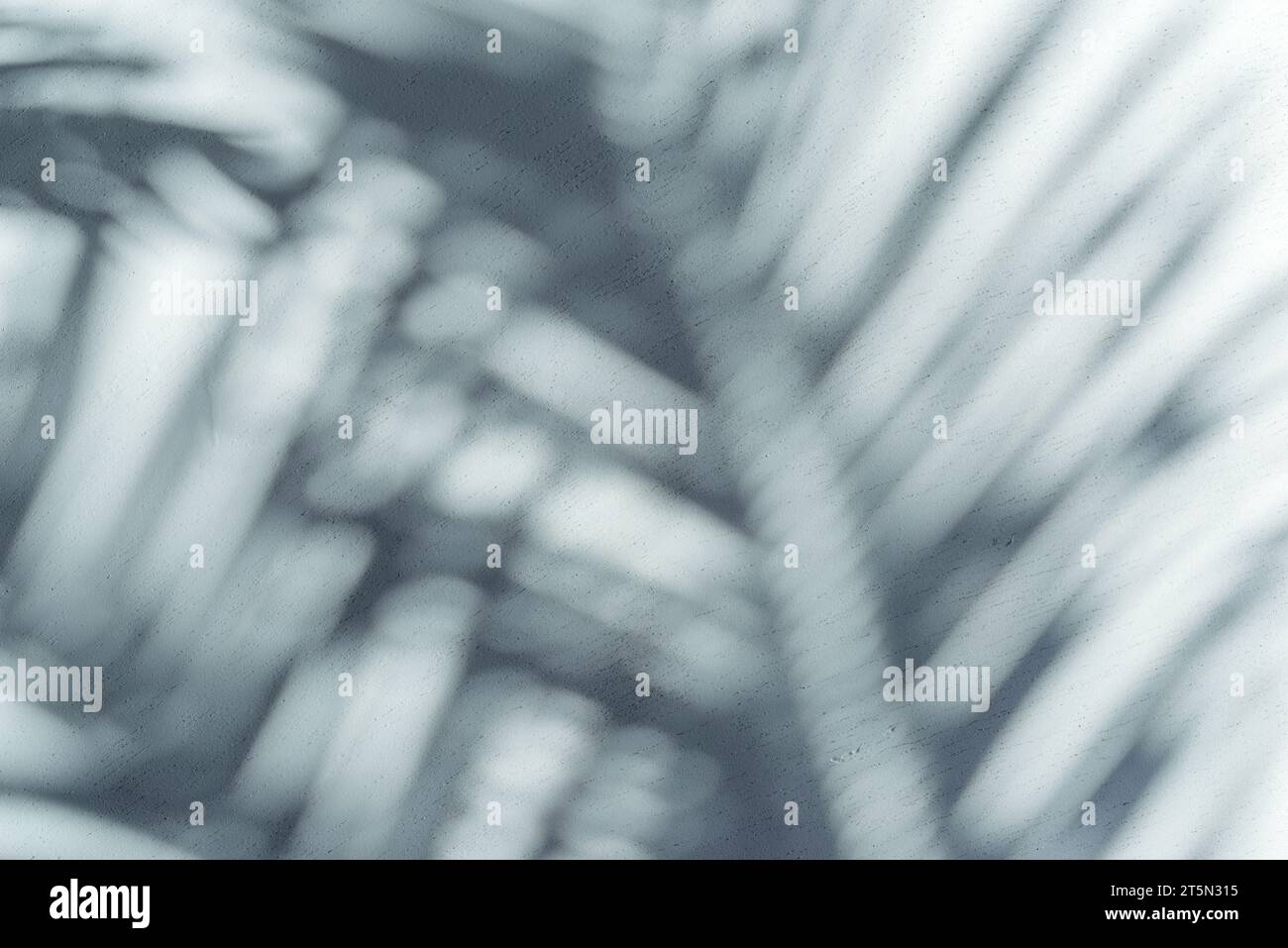 Ombre floue des feuilles de palmier tropical sur fond de mur gris. Concept d'été. Banque D'Images