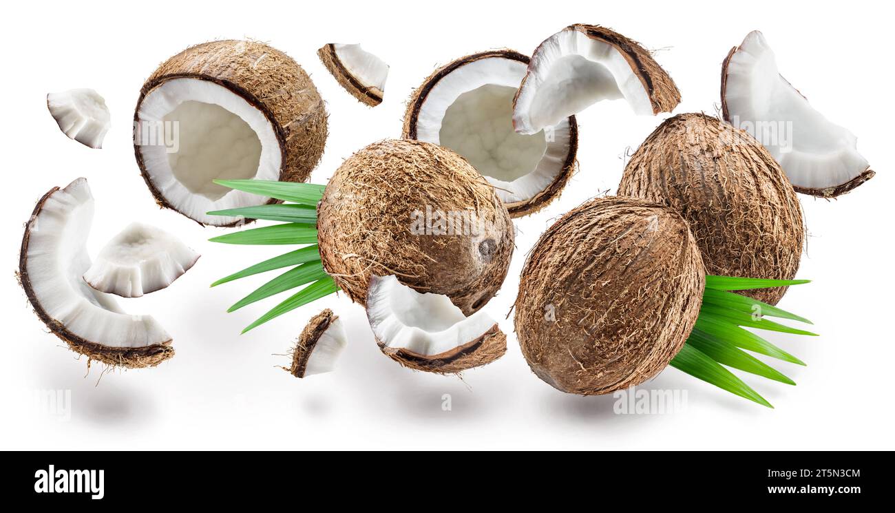 Noix de coco, morceaux de noix de coco et feuilles volant dans l'air. Le fichier contient des chemins de détourage. Banque D'Images