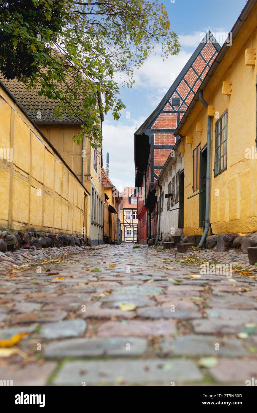 Odense, Danemark - 21 octobre 2023 : ruelle où se trouve le musée d'histoire de la ville d'Odense à l'angle de l'Overgade 48 Banque D'Images