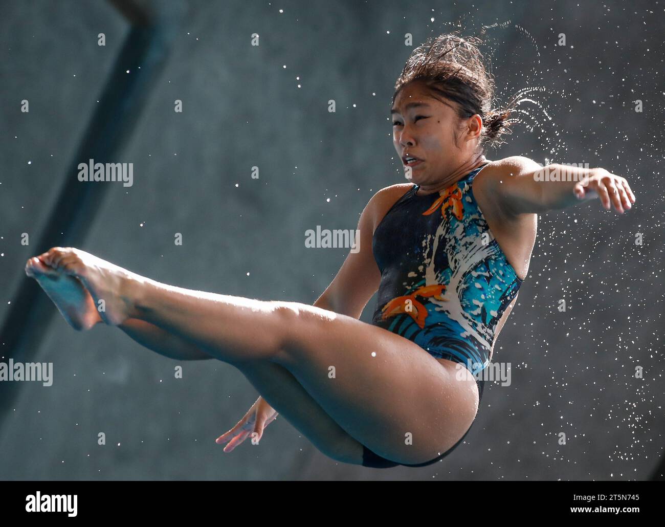 Kuala Lumpur, Malaisie. 05 novembre 2023. Dayang Nursharzyra de Malaisie en action dans le 3m Springboard préliminaire féminin pendant les Championnats de plongée Open de Malaisie au National Aquatic Centre, Bukit Jalil. Crédit : SOPA Images Limited/Alamy Live News Banque D'Images