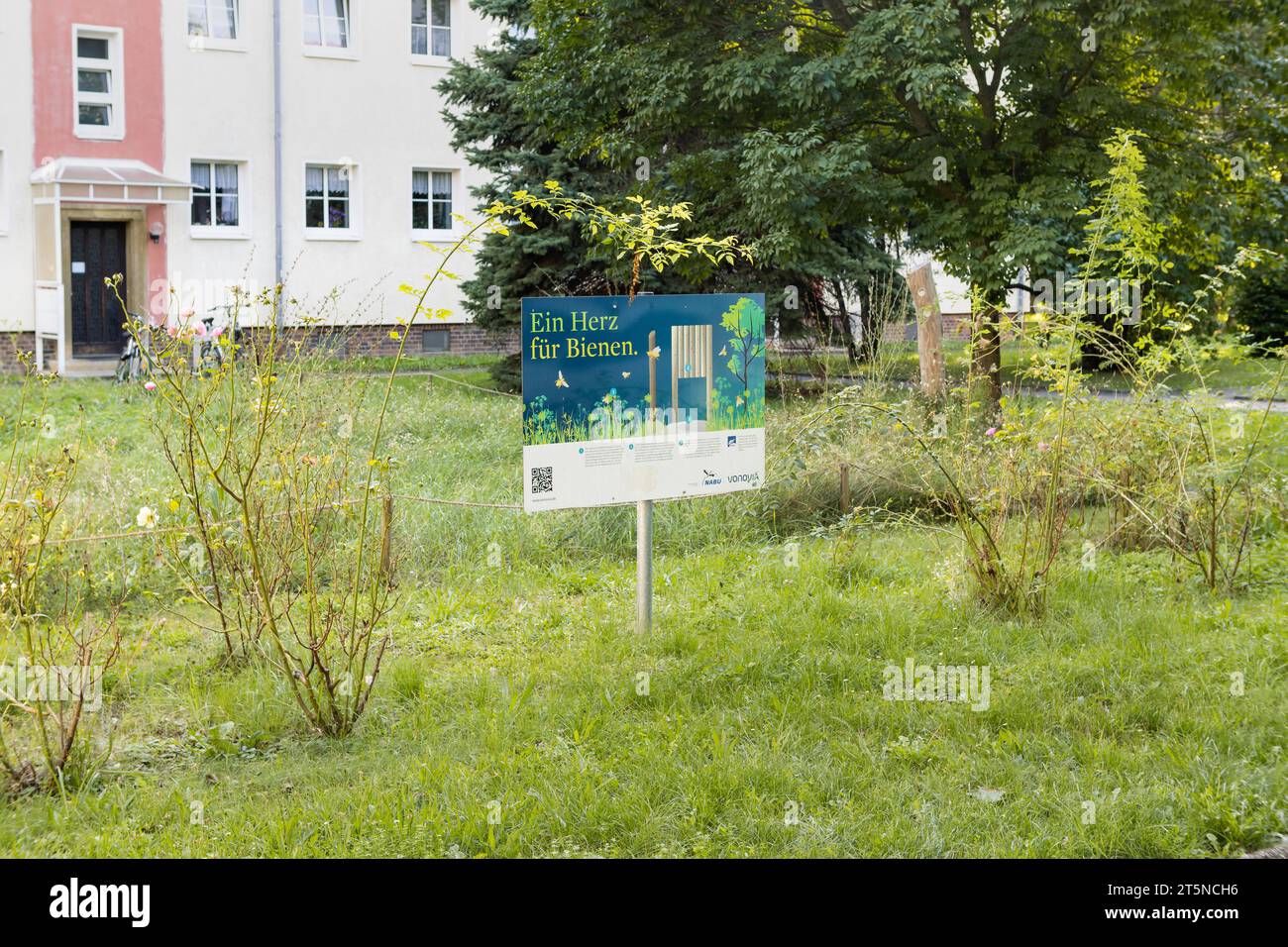 Prairie non cultivée pour abeilles et autres insectes dans une zone urbaine. Le panneau d'information du propriétaire Vonovia et de l'ONG NABU est sur la propriété. Banque D'Images