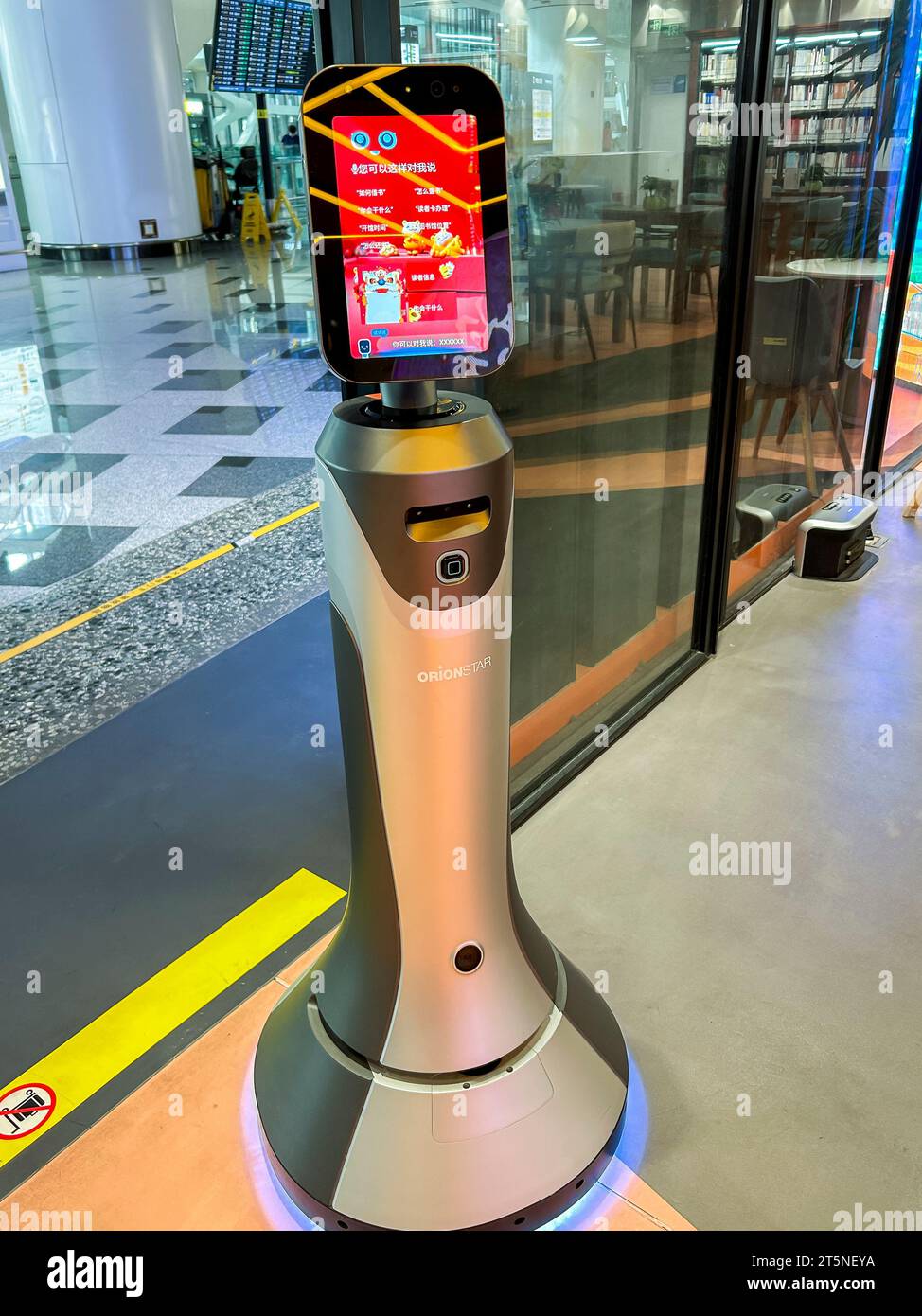 Pékin, Chine, gros plan, vues intérieures de l'aéroport international de Pékin Daxing, librairie chinoise, Bibliothèque capitale de Chine, robot, innovation chinoise Banque D'Images Pékin, Chine, gros plan, vues intérieures de l'aéroport international de Pékin Daxing, librairie chinoise, Bibliothèque capitale de Chine, robot, innovation chinoise Banque D'Images