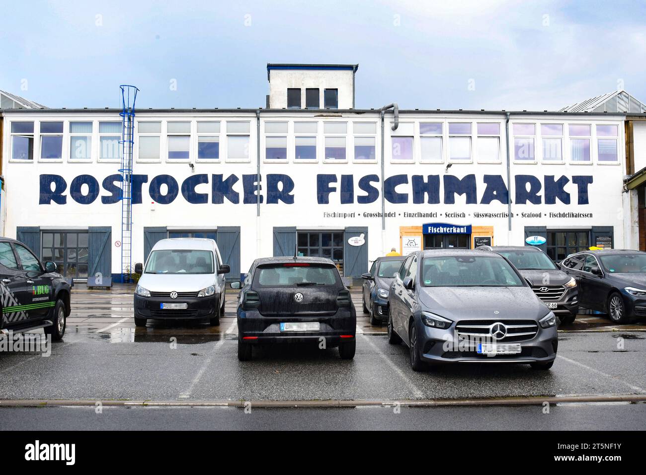 Rostocker Fischmarkt, beliebte adresse für Fischliebhaber. Angeboten werden Frischfisch aus der Ostsee, den Boddengewaessern, den mecklenburgischen Binnengewässern oder auch Zuchtfische aus einheimischer Aquakultur, Dazu Raeucherfisch , Marinaden, Garnelen, Hummer und Austern .Foto:W.Rothermel marché aux poissons Rostock, une adresse populaire de la mer Baltique, Bodden, poissons les eaux intérieures du Mecklembourg et les poissons d'élevage issus de l'aquaculture locale sont proposés, ainsi que des poissons fumés, des marinades, des crevettes, des homards et des huîtres photo W Rothermel Banque D'Images