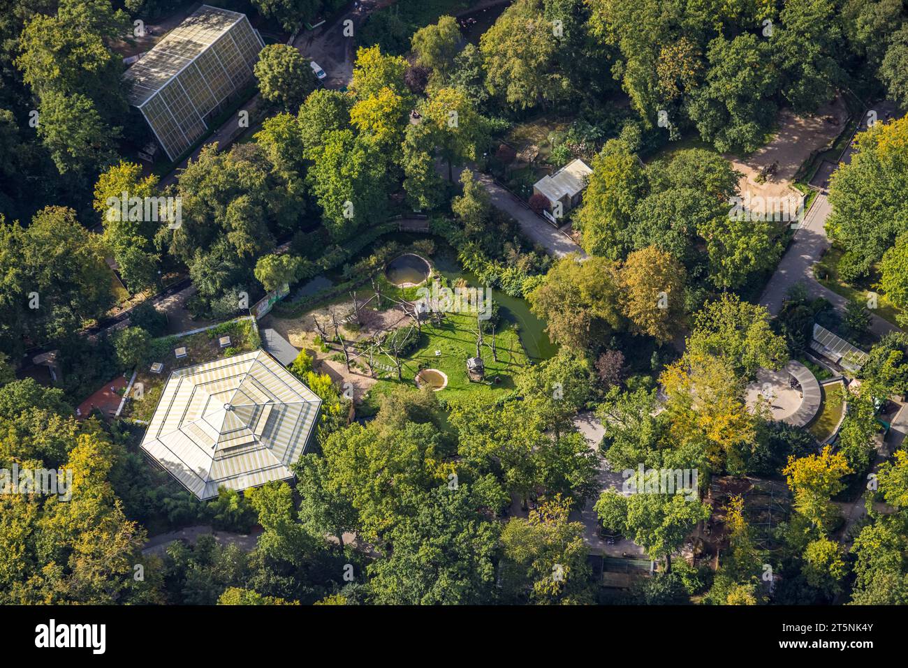 Vue aérienne, Rombergpark et zoo, Rombergpark-Lücklemberg, Dortmund, région de la Ruhr, Rhénanie du Nord-Westphalie, Allemagne, DE, Europe, photo aérienne, photophot aérien Banque D'Images