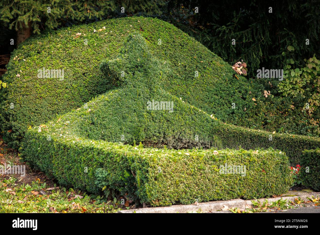 Haie d'if avec topiaire au cimetière de Wetter an der Ruhr, Rhénanie du Nord-Westphalie, Allemagne. Eibenhecke mit Formschnitt auf dem Friedhof dans Wetter A. Banque D'Images